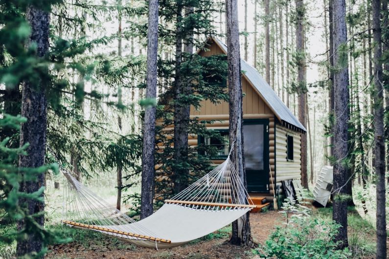 Vacation Home - wooden house with hammock attached on tree