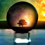 Crystal Ball - Selective Focus Photography of Water Globe With Tree Illustration