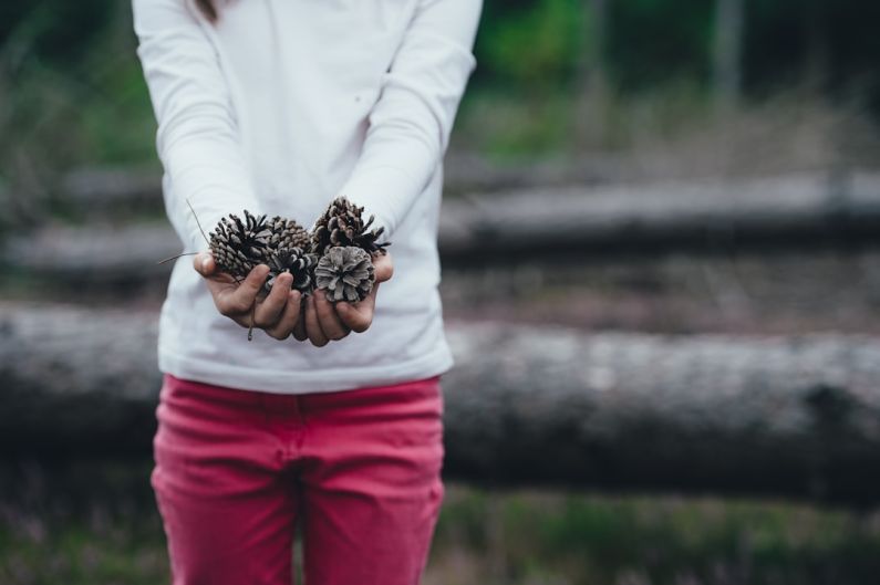 Lowball Offer - woman holding brown pinecones