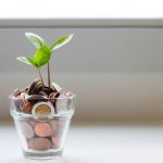 Financial Planning - green plant in clear glass cup