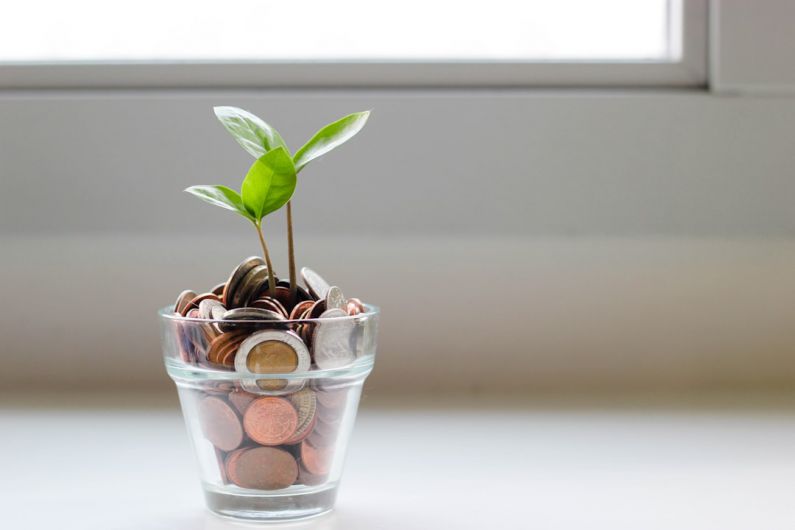 Financial Planning - green plant in clear glass cup
