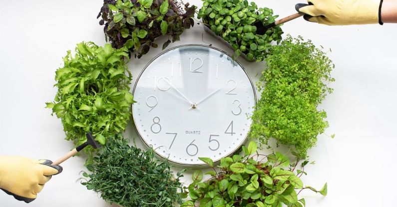 Global Future - Clock surrounded with Plants