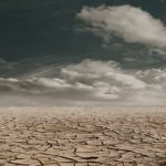 Climate Change - Photo of Brown Bare Tree on Brown Surface during Daytime