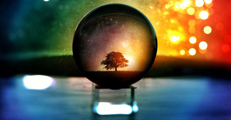 Crystal Ball - Selective Focus Photography of Water Globe With Tree Illustration