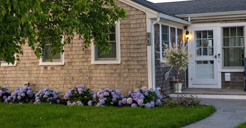 Suburban Houses - Wild Rabbit Sitting on a Garden Footpath Leading to a Cozy House