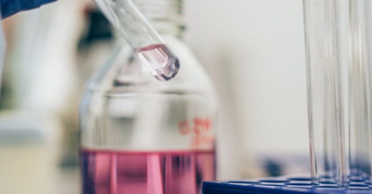 Tenant Screening - Free stock photo of analysis, biochemistry, biology